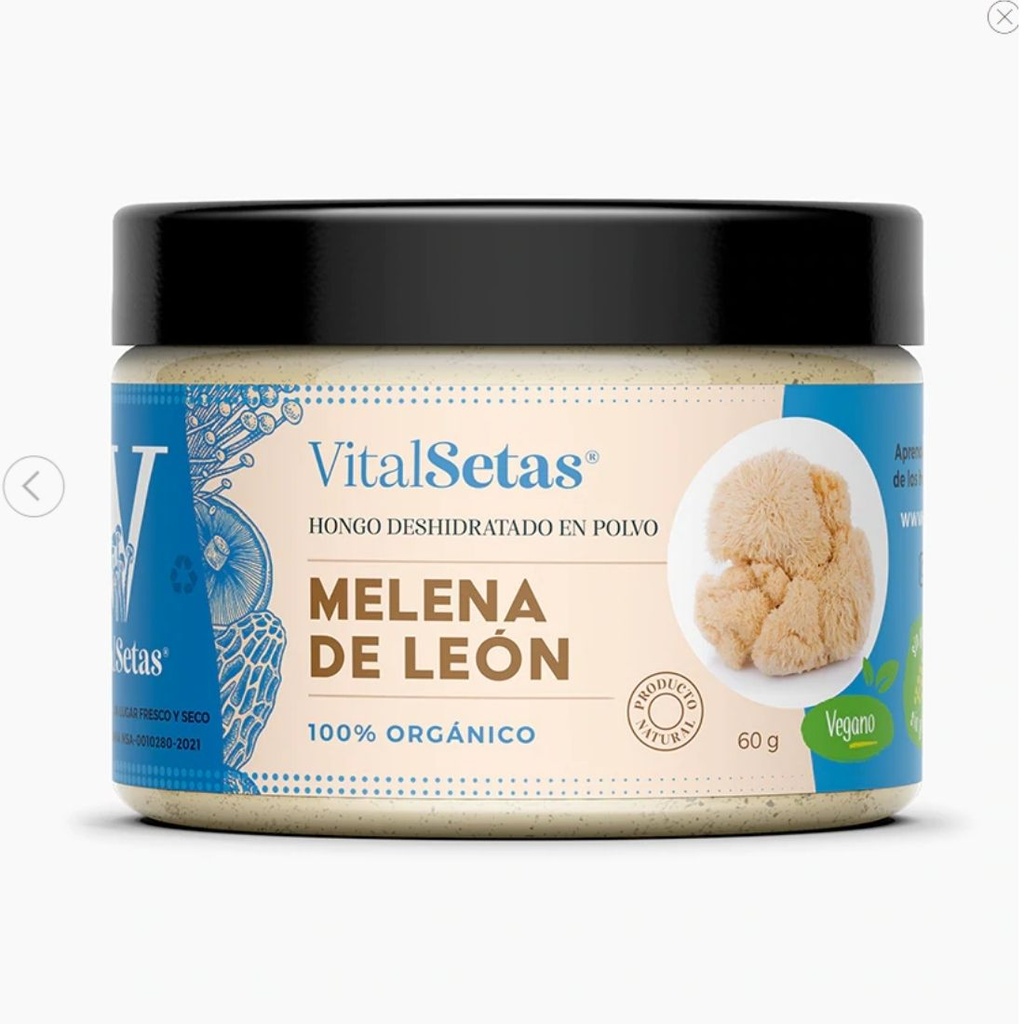 Hongo Deshidratado Melena De Leon - VitalSetas