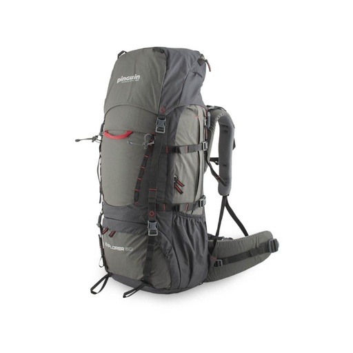 Morral Explorer - Pinguin