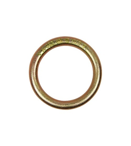Anillo de Acero -