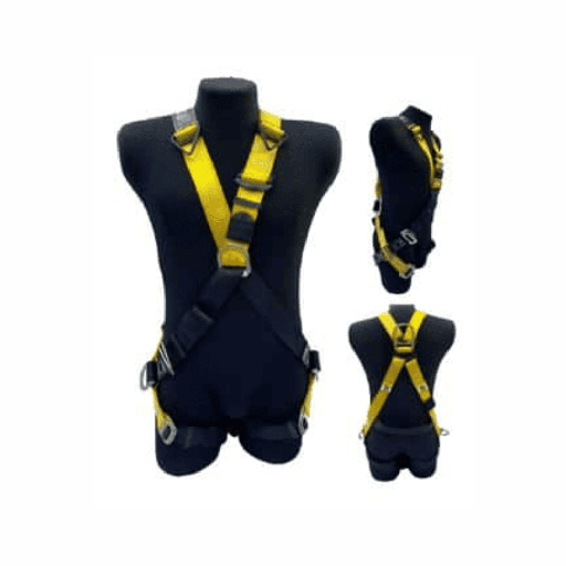 Arnes Reflex 4D - Equiseg